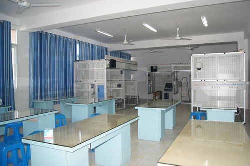 德宏建筑智能化資質(zhì)新辦哪家強(qiáng)？探尋專業(yè)展覽展示服務(wù)的可靠伙伴